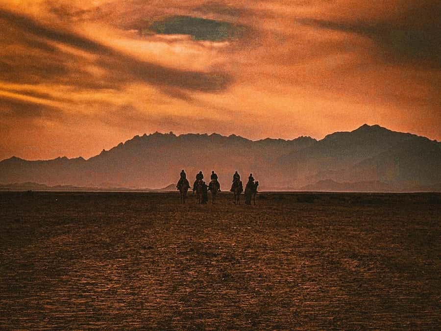 Hurghada: Hiking , dinner & stargazing - Who will enjoy this Hurghada outing most