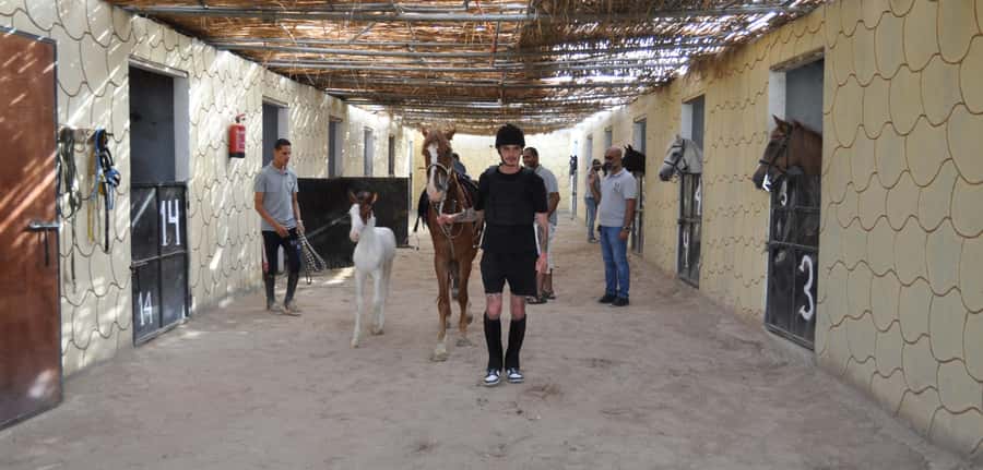 Hurghada: Horse Ride, BBQ Dinner, and Stargazing - Sunset views, then back to the oasis