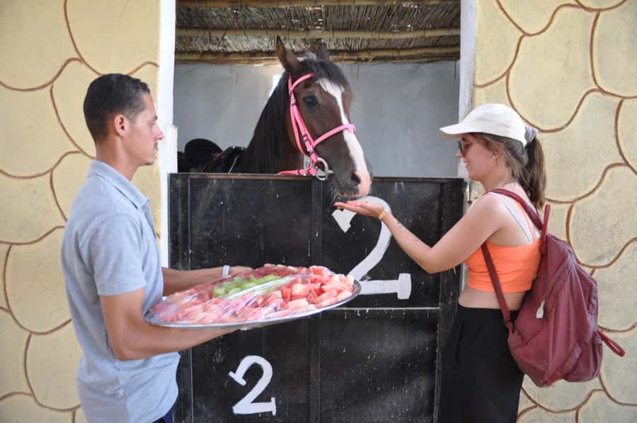 Hurghada: Horse Ride, BBQ Dinner, and Stargazing - Stargazing with two telescopes