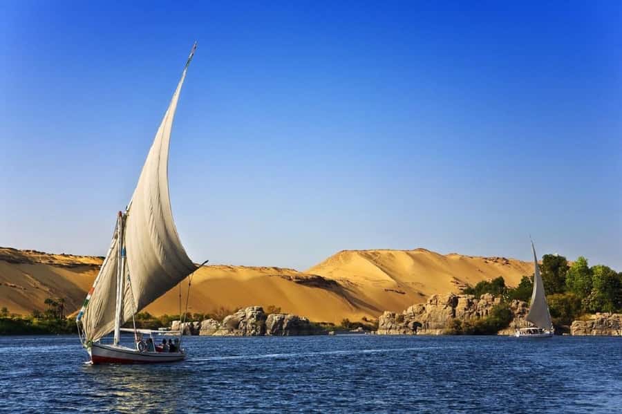 Hurghada: Luxor Highlights & King Tut Tomb Tour with Lunch - Guides, drivers, and group size