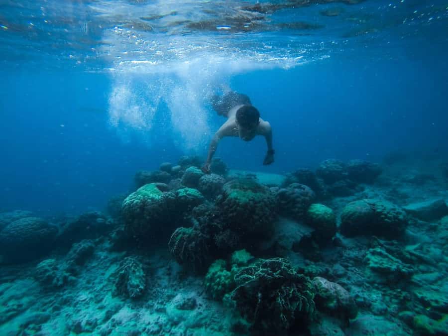 Hurghada:Luxury Diving & Snorkeling inc/Island/Lunch/Massage - Your first underwater session at Small Giftun