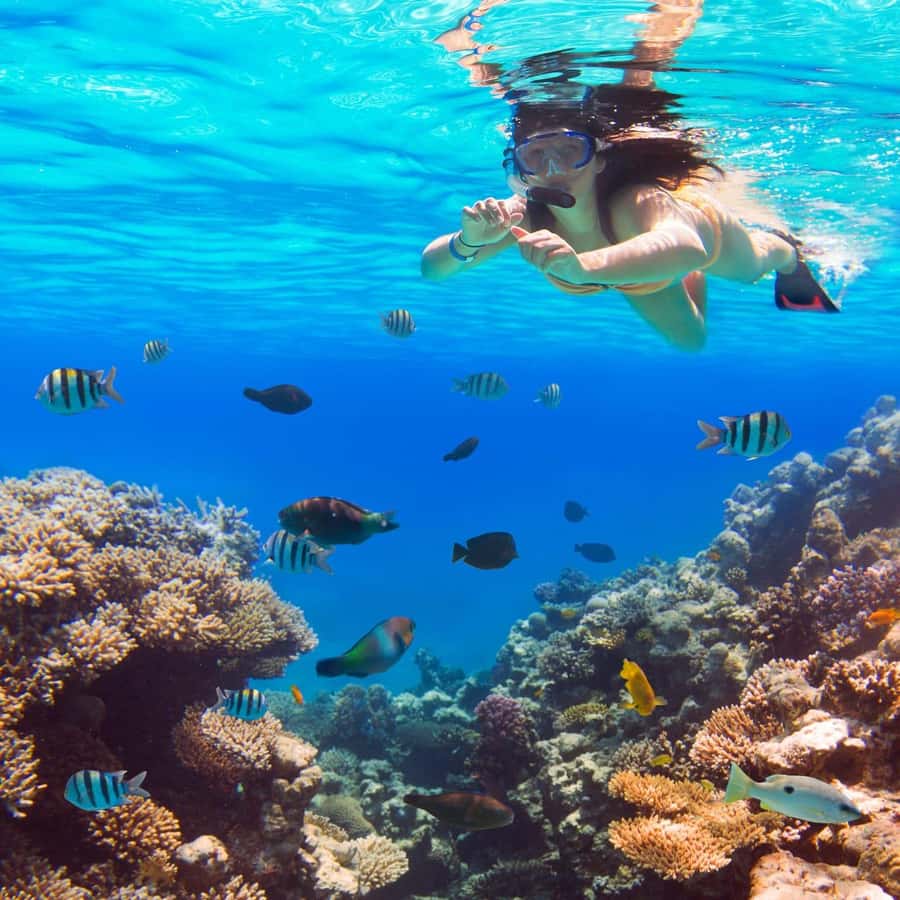 Hurghada: Luxury Giftun island w/snorkeling/lunch & Massage - Lunch with fish, BBQ, and plenty of sides