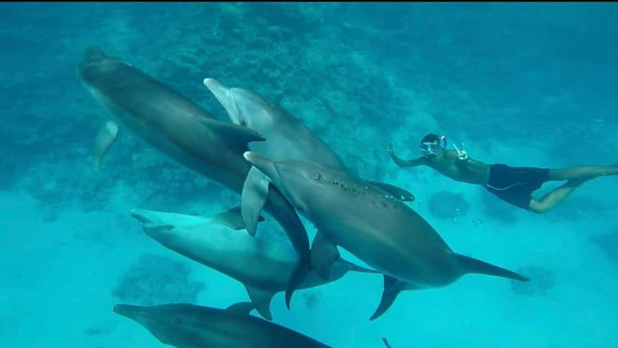 Hurghada: Luxury Yacht Trip with Personal Crew and Chef - Booking details that affect the real cost