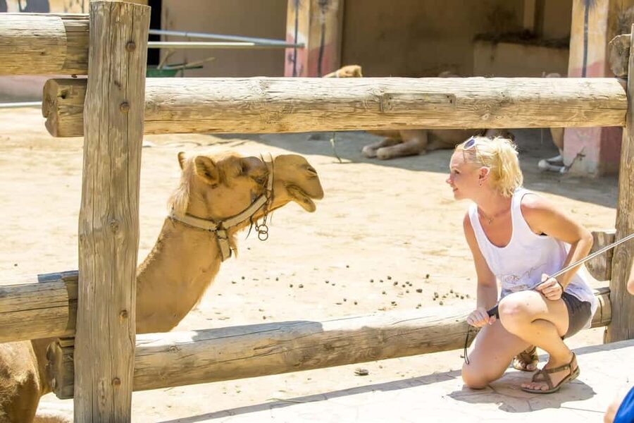 Hurghada: Mega Jeep safari, ATV & Bedouin vibe, and Dinner - Who should book this experience?