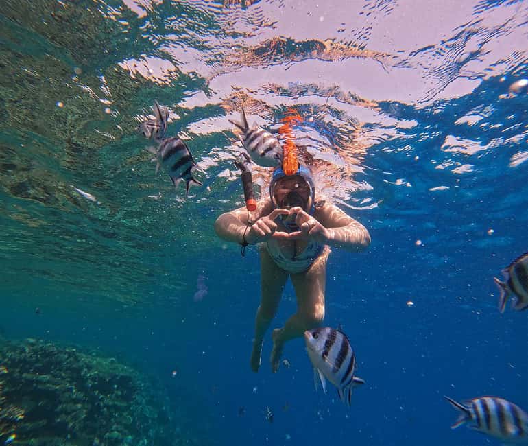Hurghada or Makadi: Discover the Magic of Dolphin House - Should you book the Dolphin House trip?