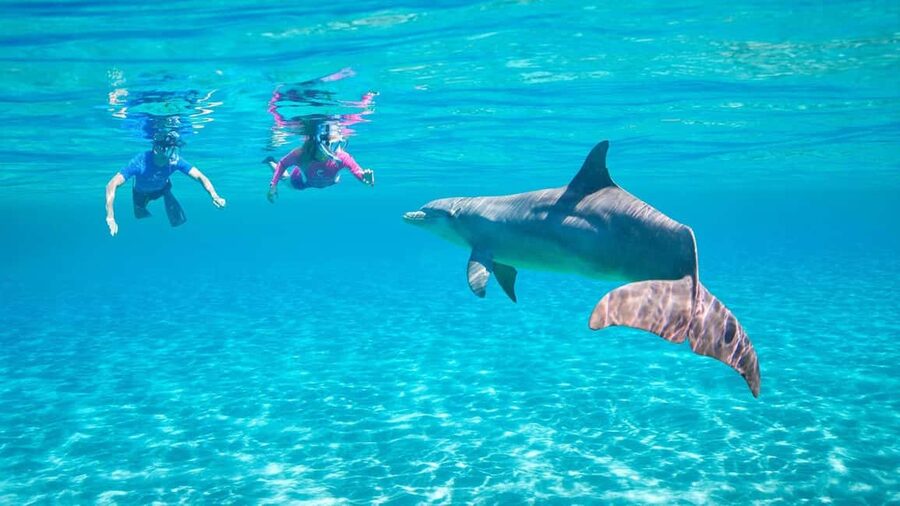 Hurghada or Makadi: Discover the Magic of Dolphin House - A boat day with room for both action and rest