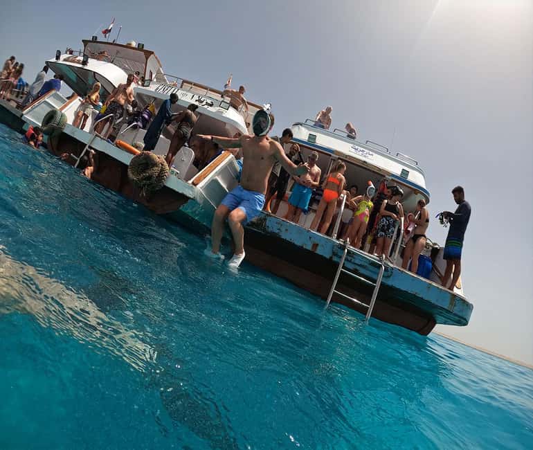 Hurghada or Makadi: Discover the Magic of Dolphin House - Why the $27 price is attractive