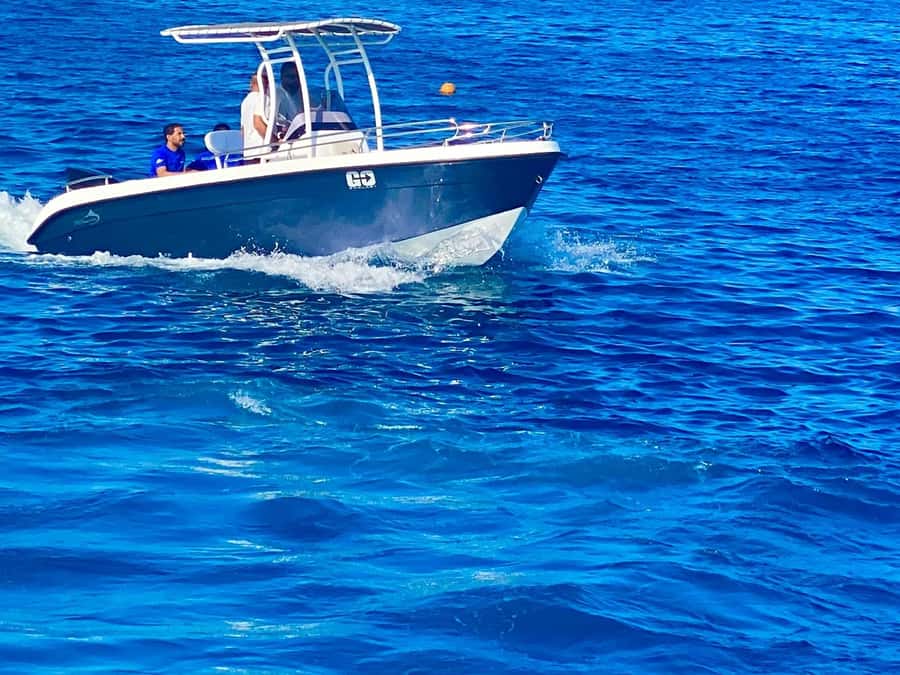 Hurghada: Orange Bay Dolphin Watching, Snorkeling & Lunch - How the $47 price compares
