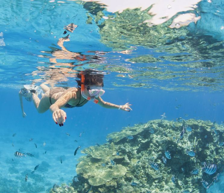 Hurghada: Orange Bay & Giftun Island, Snorkeling With Lunch - How much value do you get for $26?