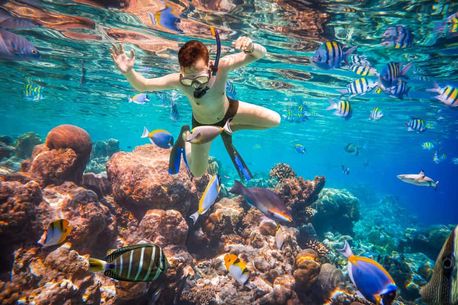 Hurghada: Orange Bay Island Boat Trip w/ Breakfast and Lunch - Two snorkeling stops over Red Sea coral