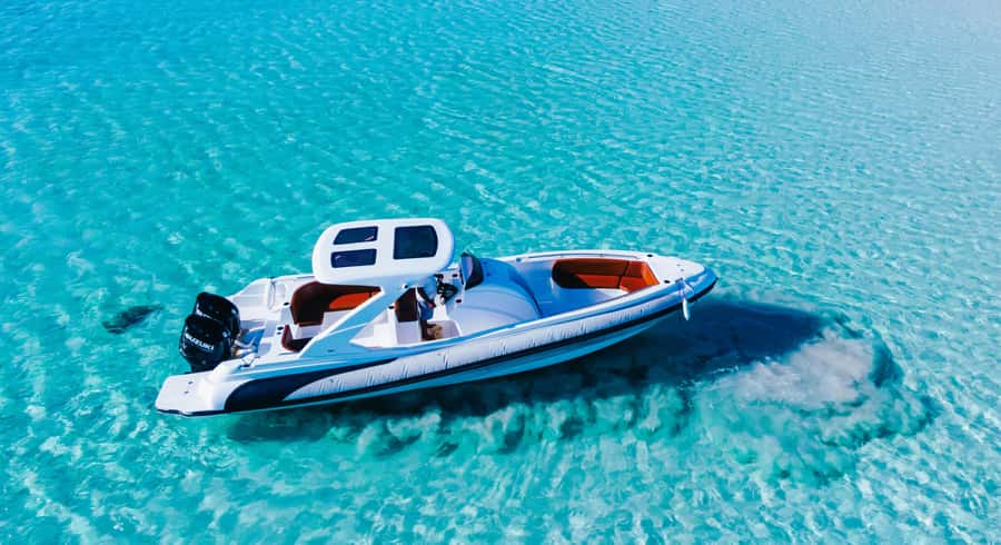 Hurghada: Paradise Speedboat w/ Optional Snorkeling & Lunch - Snorkeling above Red Sea coral