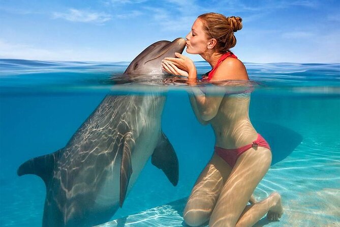 Hurghada: Private 4 Hours Speedboat Dolphin House Snorkling Tour - Snorkeling at Dolphin House