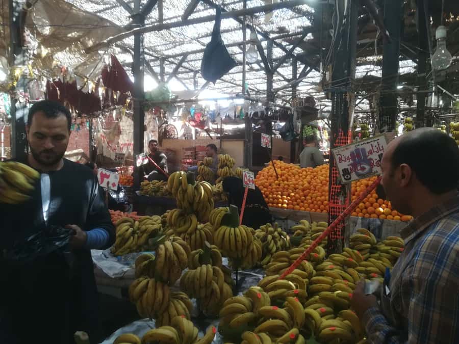 Hurghada: Private Guide City Tour & Shopping Stop - Key points to know before booking