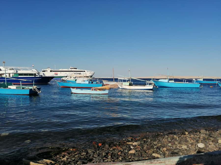 Hurghada: Private Guide City Tour & Shopping Stop - Seeing Hurghada’s fishing village and fish market