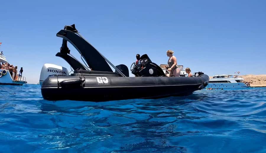 Hurghada: Private Speedboat to Dolphin House with Pickup - Who should book this Hurghada sea trip?