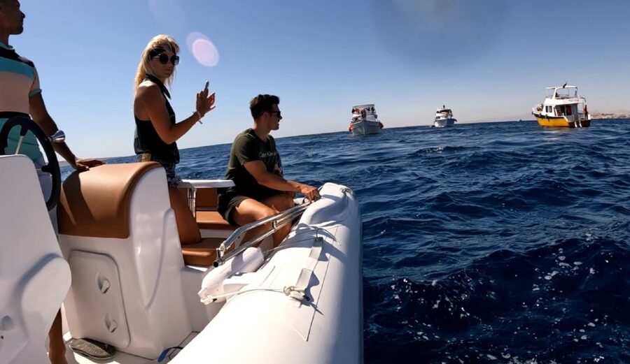 Hurghada: Private Speedboat to Dolphin House with Pickup - The shipwreck adds a different kind of snorkeling stop