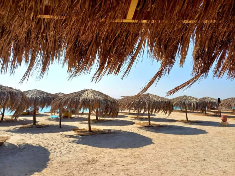 Hurghada: Private Speedboat to Magawish Island - The first swim and snorkeling stop