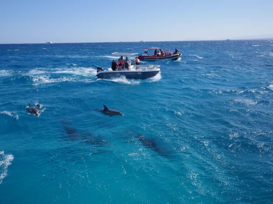 Hurghada: Private Speedboat to Orange Bay and White Island - Who will enjoy this private trip most