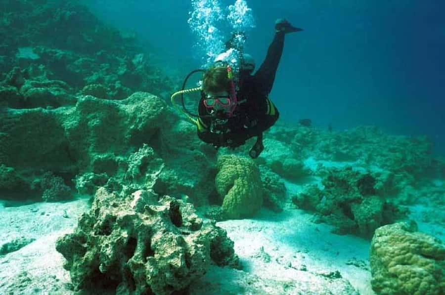 Hurghada, Professionals Diving in Open Water Tour with Lunch - Lunch onboard, with a second site ahead