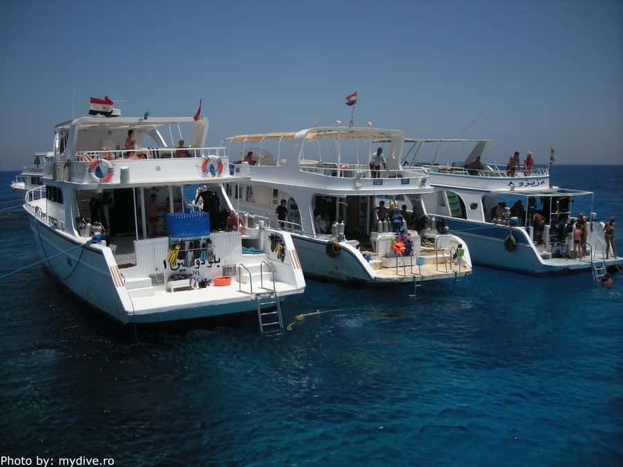 Hurghada, Professionals Diving in Open Water Tour with Lunch - The second 30-minute session and free time in the water