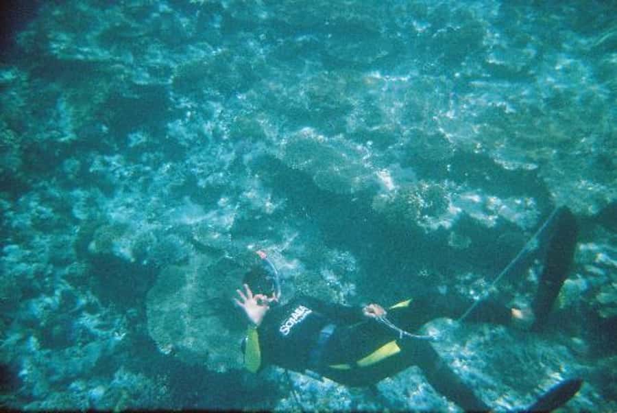 Hurghada, Professionals Diving in Open Water Tour with Lunch - What the first 35-minute scuba session is like