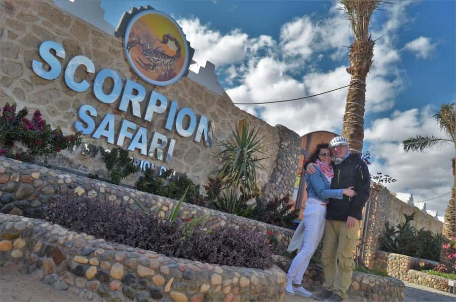 Hurghada: Quad and Buggy Safari with Dinner and Show - The 15-minute buggy ride