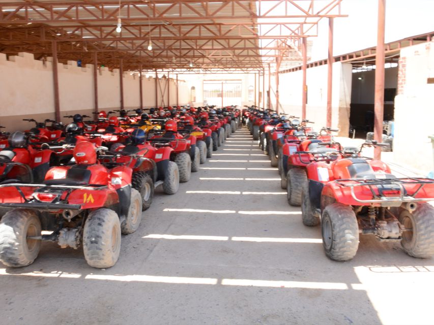 Hurghada Quad & ATV Ride with Camel, Desert Vibes & Sea View - Sunrise at 5:00 AM with breakfast