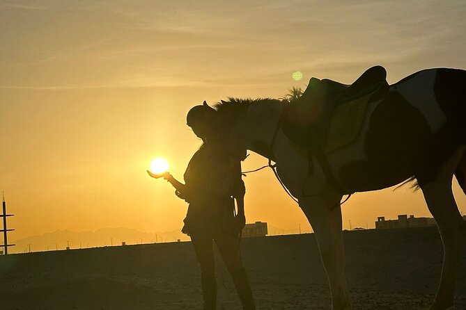 Hurghada: Red Sea & Desert Horse Riding Tour with Swimming - One hour across the Hurghada desert
