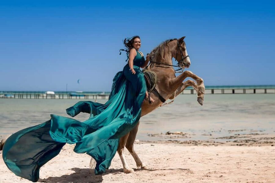 Hurghada: Red Sea & Desert Horse Riding Tour with Swimming - Who should book this Hurghada activity?