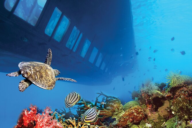 Hurghada: Royal Seascope Submarine Cruise with Snorkel Stop - Forty-five minutes behind the underwater windows