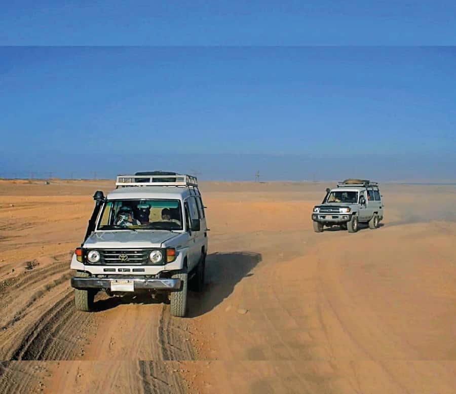 Hurghada: Safari Jeep & Camel Ride with BBQ Dinner & Show - Who will enjoy this desert outing most