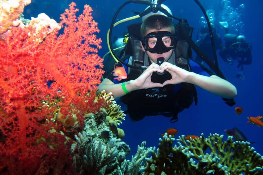 Hurghada: Scuba Diving cruise with lunch & pickup - Key points to know before you book