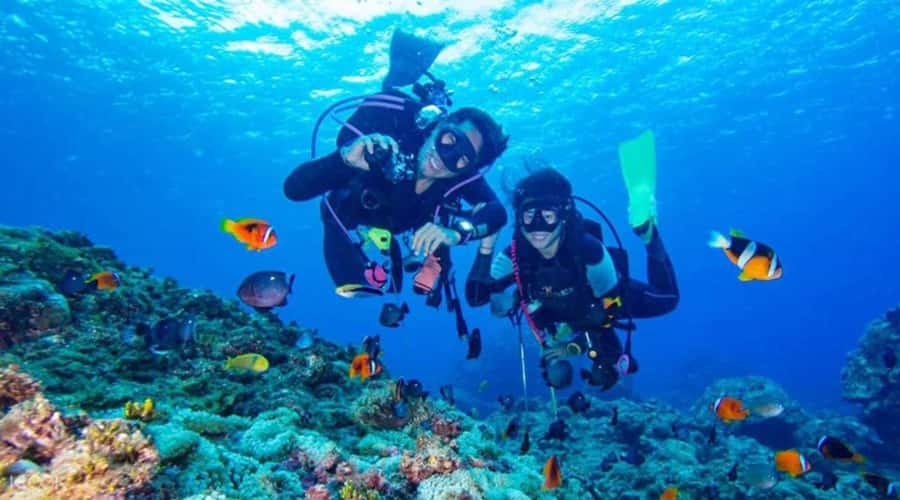 Hurghada: Scuba Diving cruise with lunch & pickup - What the Hurghada sea day is really like