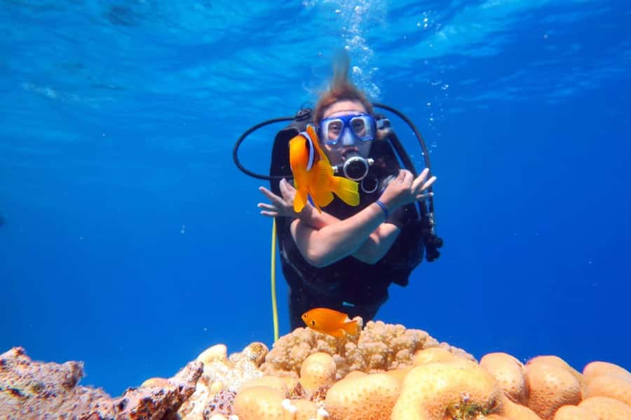 Hurghada: Scuba Diving cruise with lunch & pickup - The first reef stop at Abu Ramada or Small Giftun Island
