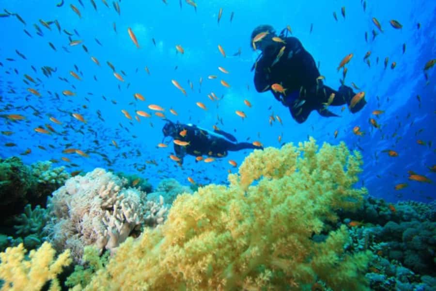 Hurghada: Scuba Diving cruise with lunch & pickup - The second reef visit and lunch on board