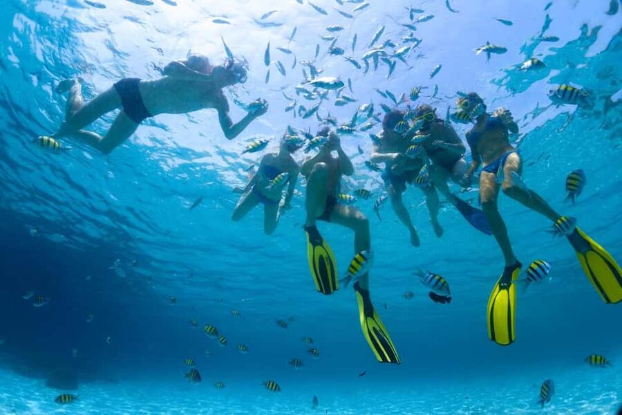 Hurghada: Scuba Diving for Beginners & Certified Divers - Two Red Sea sites make this more than a quick tryout