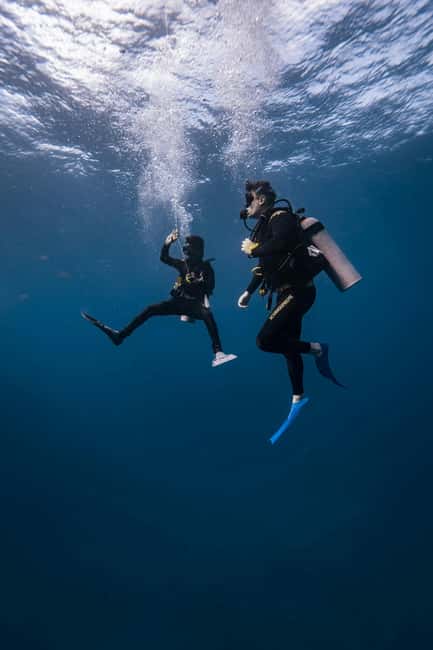 Hurghada: Scuba Diving for Beginners & Certified Divers - Coral, fish, and snorkeling for the whole group