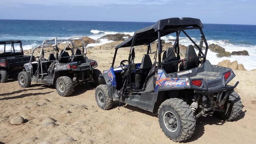 Hurghada: Sea and Mountains Quad or Buggy Family Tour - The optional buggy ride and desert falcon house stop