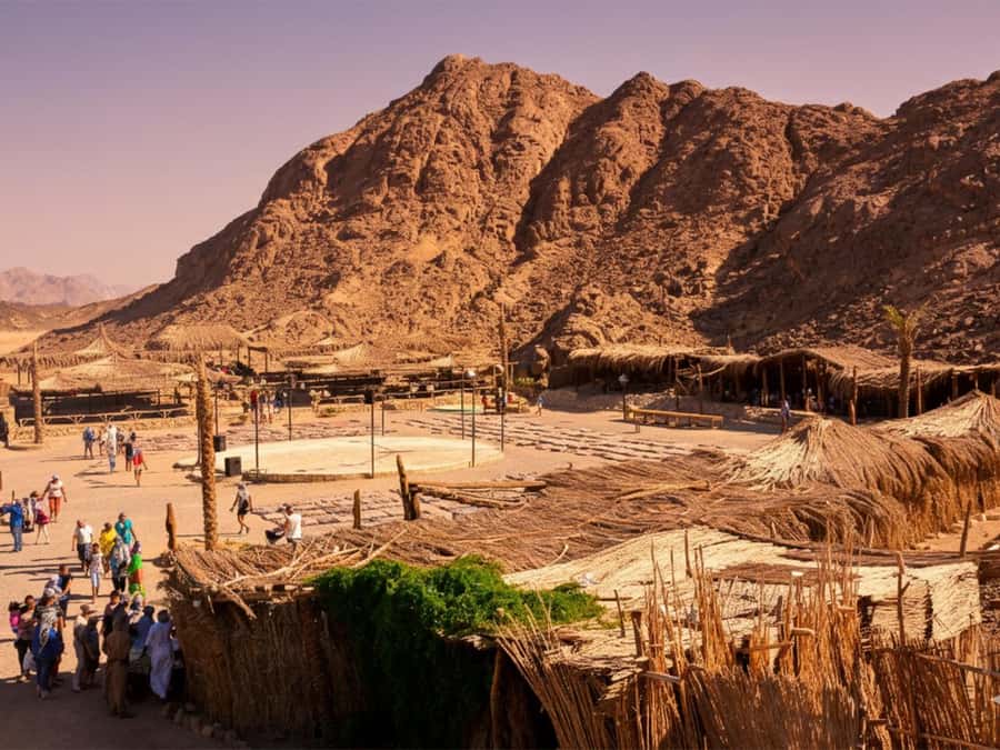 Hurghada: Sea & Desert Camel Ride w/Dinner, Show, Stargazing - A two-hour camel ride with more than a postcard pose