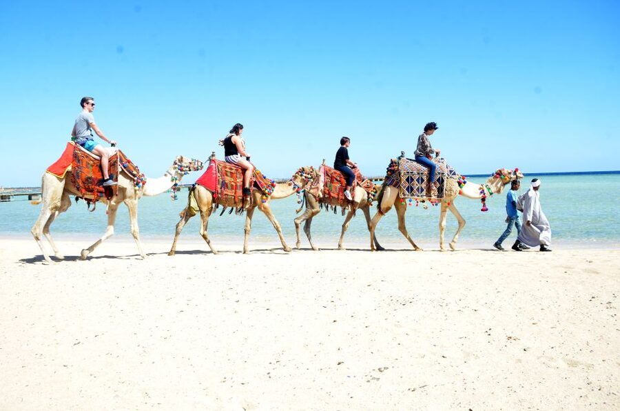 Hurghada: Sea & Desert Camel Ride w/Dinner, Show, Stargazing - Across the Eastern Desert toward the Red Sea