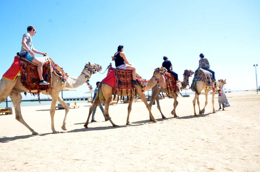 Hurghada: Sea & Desert Camel Ride w/Dinner, Show, Stargazing - Photo stops and the human touch