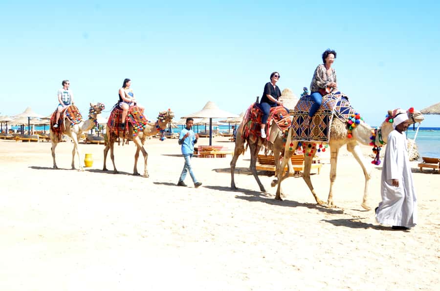 Hurghada: Sea & Desert Camel Ride w/Dinner, Show, Stargazing - Sunset dinner, entertainment, and stargazing