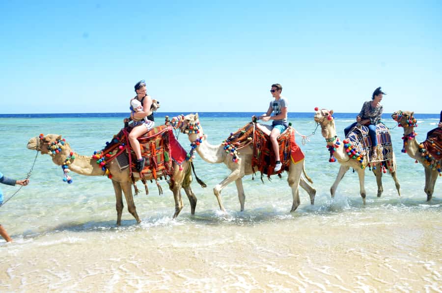 Hurghada: Sea & Desert Camel Ride w/Dinner, Show, Stargazing - Safety, comfort, and who should skip it
