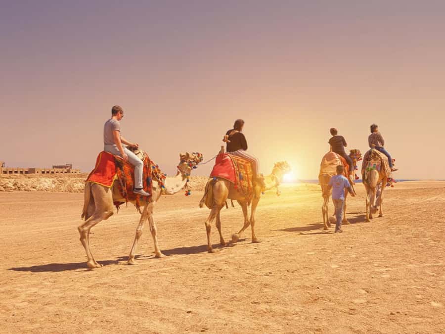 Hurghada: Sea & Desert Camel Ride w/Dinner, Show, Stargazing - Getting from your hotel to the camel base