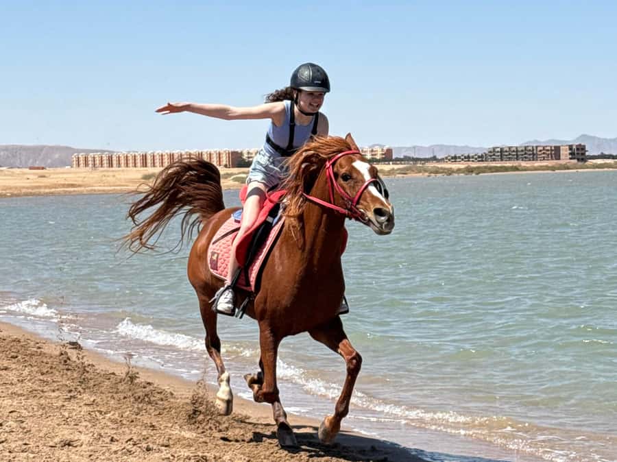 Hurghada: Sea & Desert Horse Riding tour/w Swimming&Transfer - What the swimming option is really like