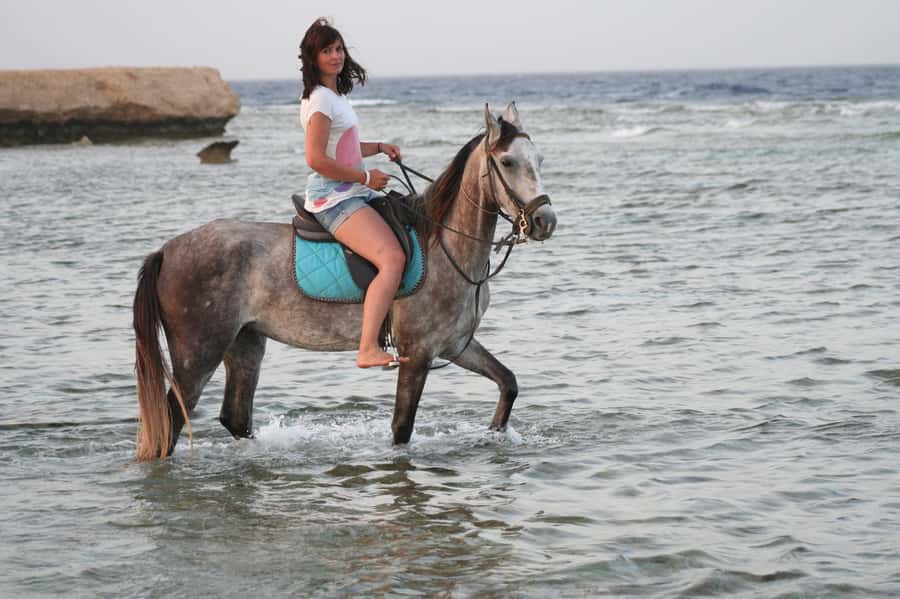Hurghada: Sea & Desert Horse Tour, Stargazing, Dinner & Show - Key points at a glance