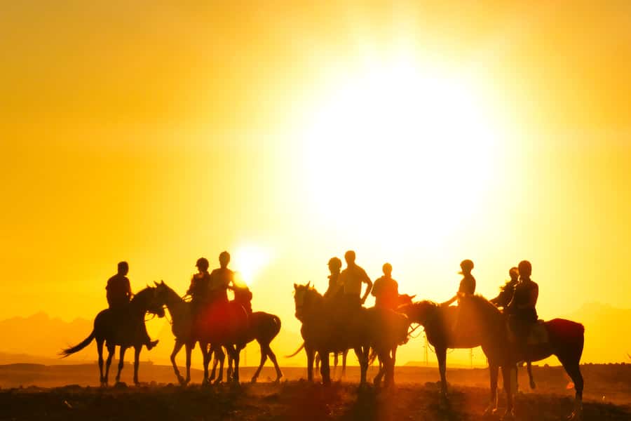 Hurghada: Sea & Desert Horse Tour, Stargazing, Dinner & Show - Small details that make the day easier