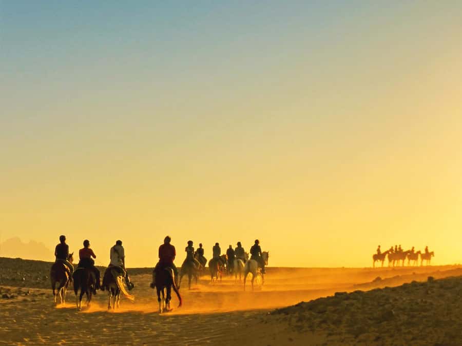 Hurghada: Sea & Desert Horse Tour, Stargazing, Dinner & Show - Riding from Hurghada’s desert to the Red Sea