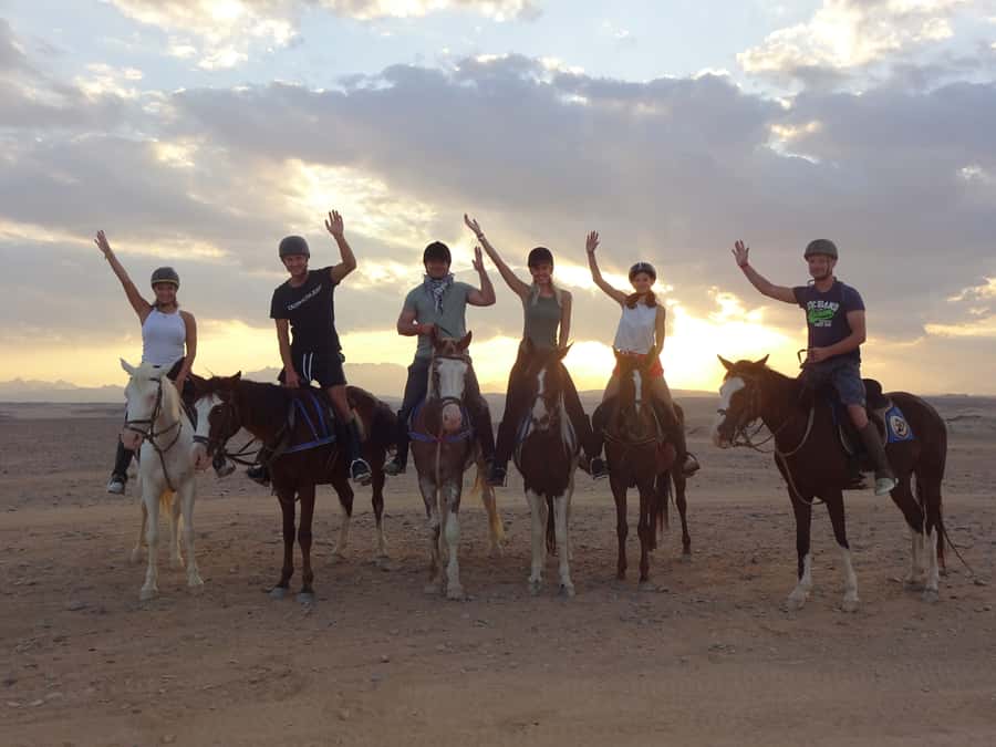 Hurghada: Sea & Desert Horse Tour, Stargazing, Dinner & Show - Sunrise, midday, and sunset: choosing the right departure