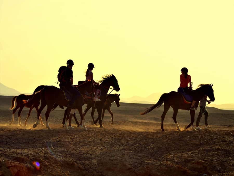 Hurghada: Sea & Desert Horse Tour, Stargazing, Dinner & Show - The four main ways to book the ride